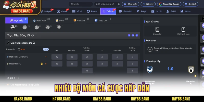 Nhiều bộ môn cá cược hấp dẫn