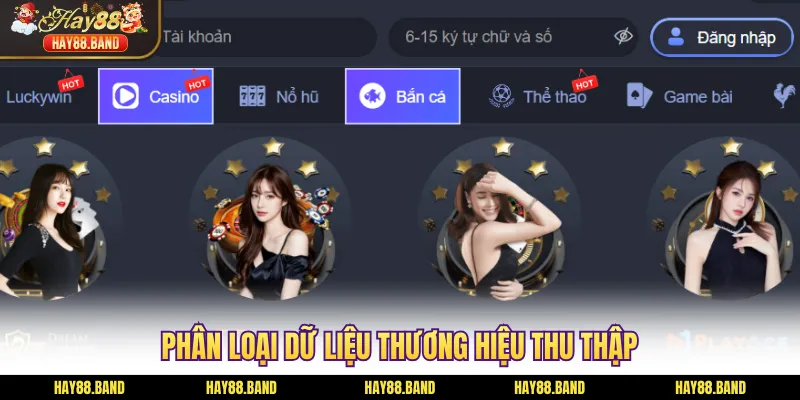 Phân loại dữ liệu thương hiệu thu thập Phân loại dữ liệu thương hiệu thu thập